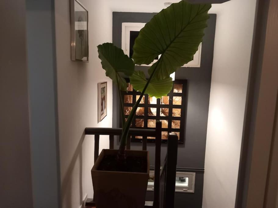 Maison Cosy - 4 Chambres Doubles Bergerac Eksteriør billede